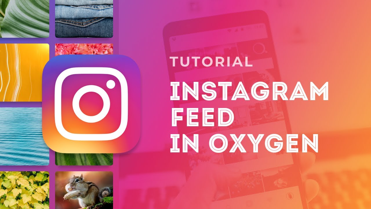 Instagram Feed in Oxygen Builder - Free Instagram Slider